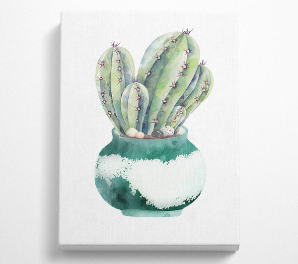 Cactus Watercolour