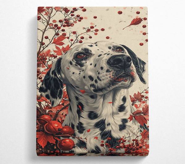 Crimson Dalmatian Dream