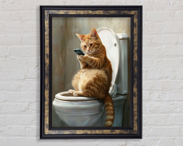 Cat Toilet Time