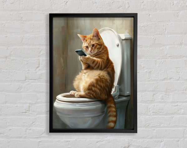 Cat Toilet Time