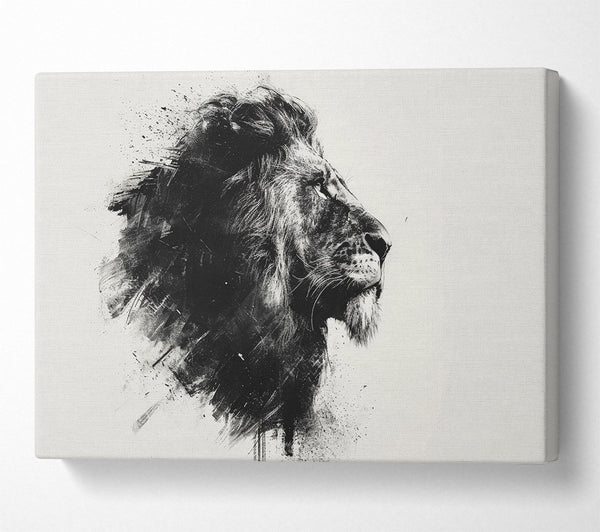 Charcoal Lion