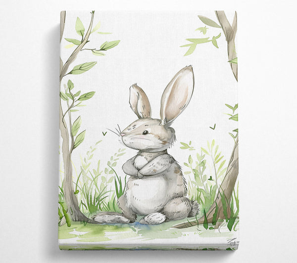 Grey Bunny In Woods