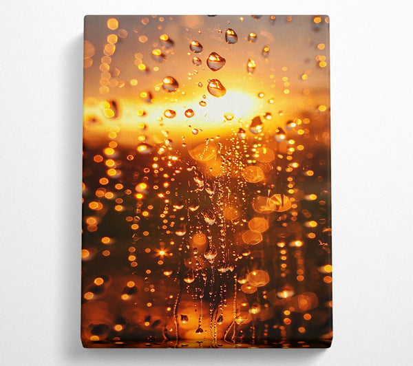 Golden Raindrops Sunset