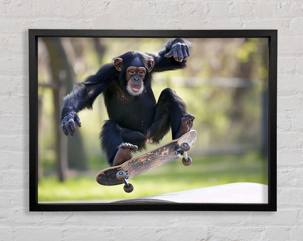 Chimpanzee Skating