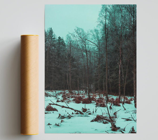 Teal Winter Forest