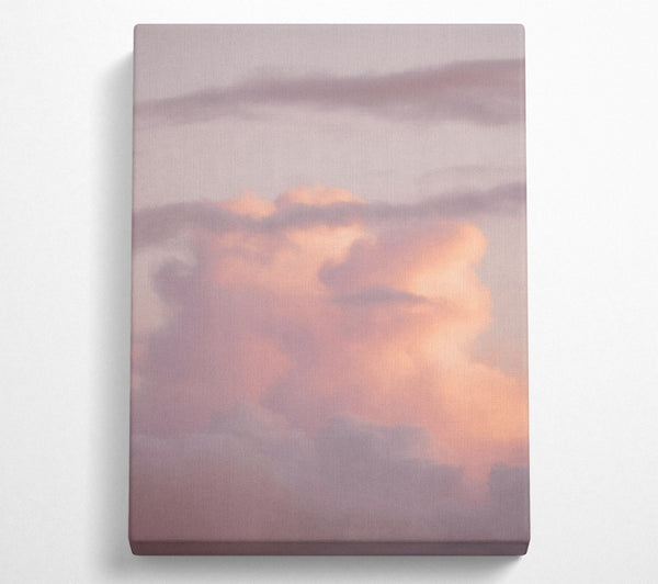 Rose-Colored Cloudscape