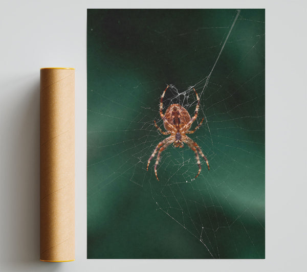 Green Web Weaver