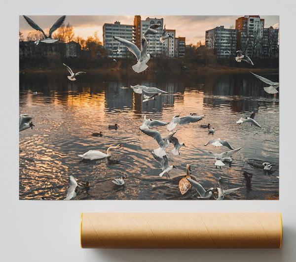 Golden Flock On Water