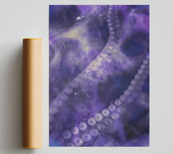 Purple Octopus Dream