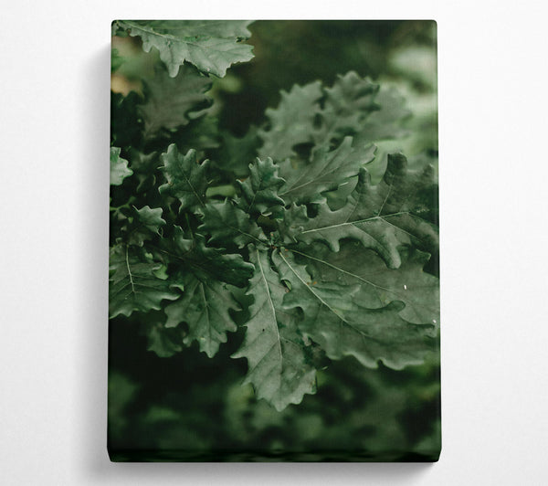 Emerald Forest Leaves