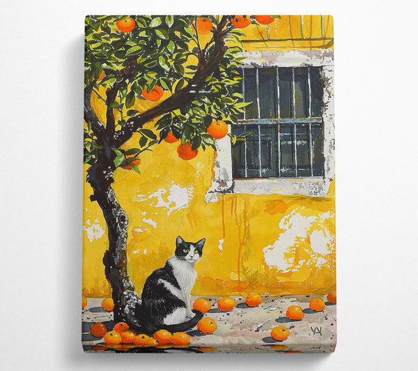 Golden Cat And Oranges