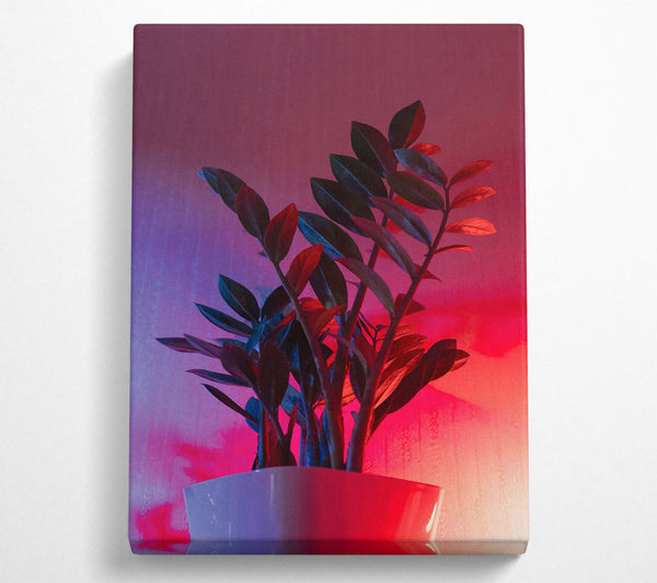 Pink Neon Plant