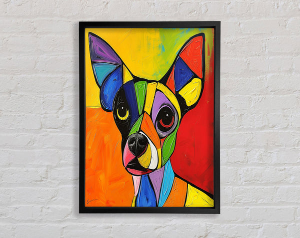 Colour Chihuahua