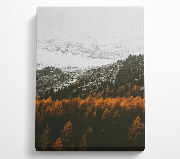 Golden Snow-Capped Peaks