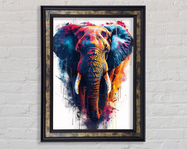 Colour Explosion Elephant