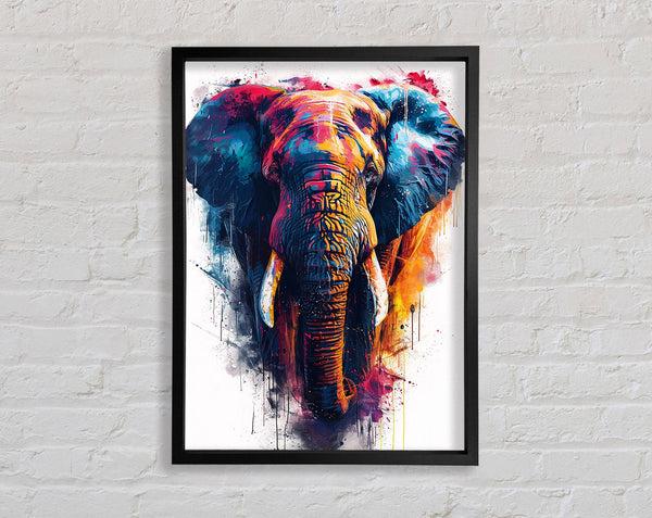 Colour Explosion Elephant