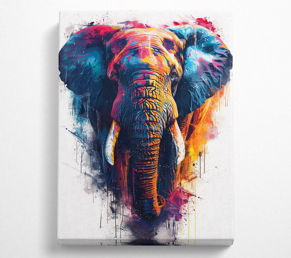 Colour Explosion Elephant