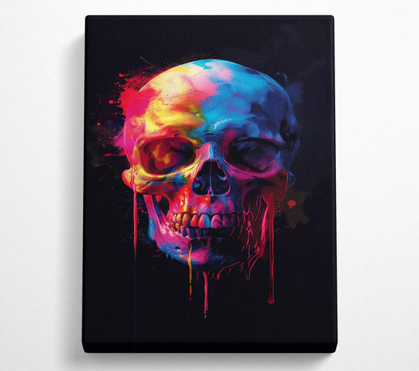 Colour Explosion Skull