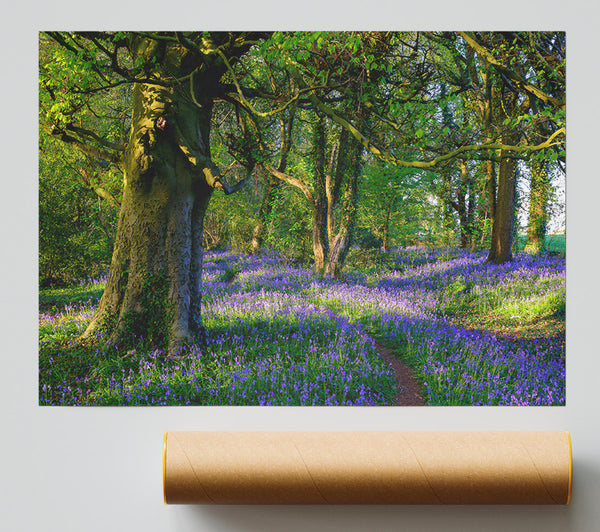 Purple Woodland Path