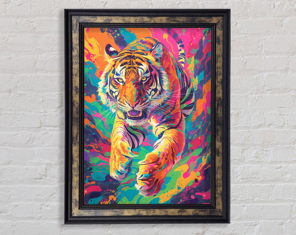 Colour Tiger