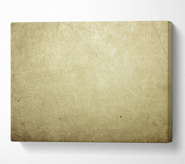 The Pale Beige Canvas