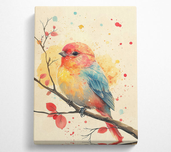 Colourful Bird