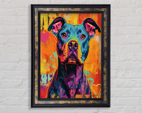 Colourful Graffiti Pitbull