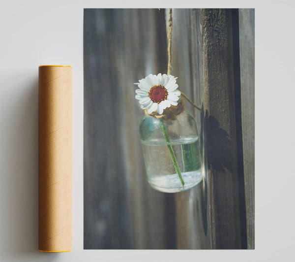 White Daisy In Blue Glass