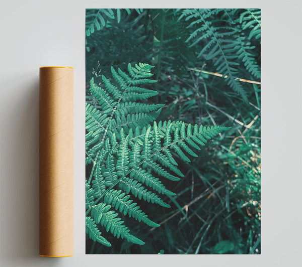 Emerald Green Fern Fronds