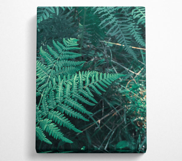 Emerald Green Fern Fronds