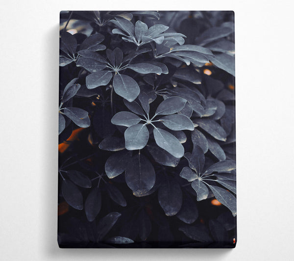 Deep Teal Leaves