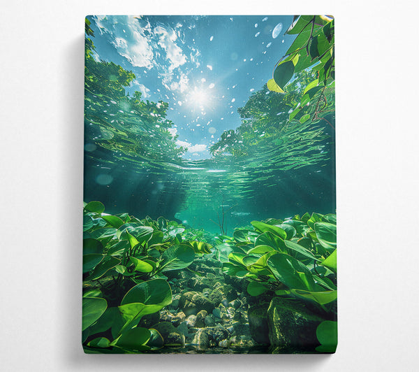 Emerald Underwater Sun