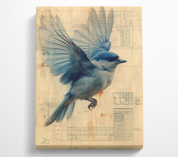 Bluebird On Blueprint