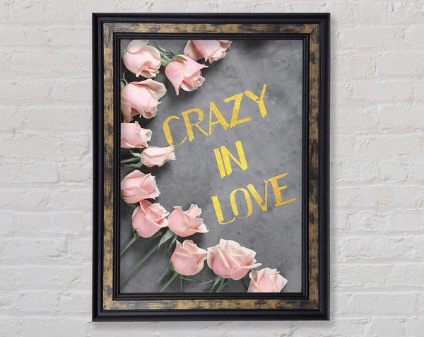 Crazy In Love  Pink Roses