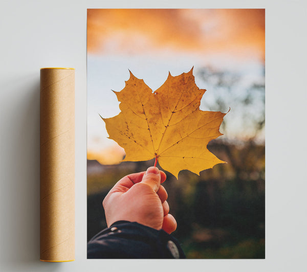 Golden Leaf Sunset