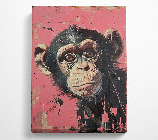 Cute Chimp