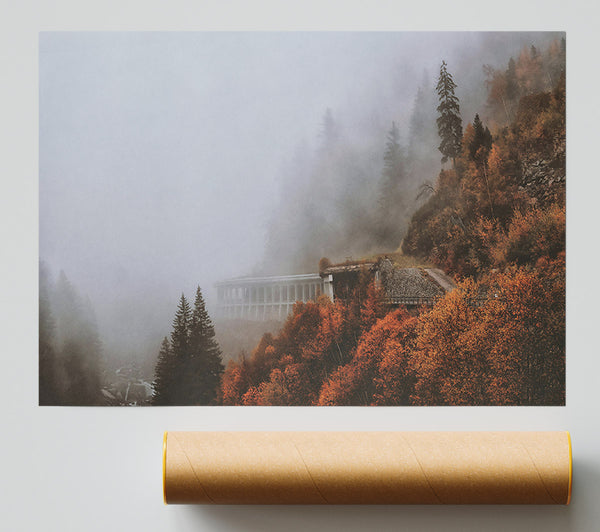 Autumn Foggy Structure