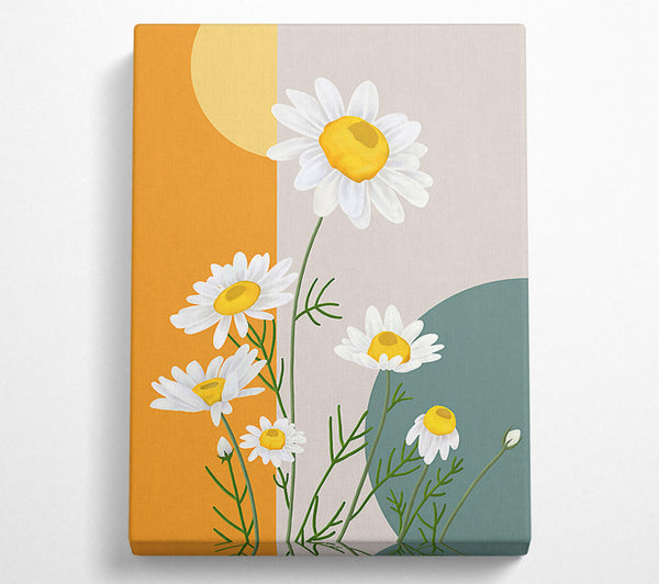 Daisies In Abstract