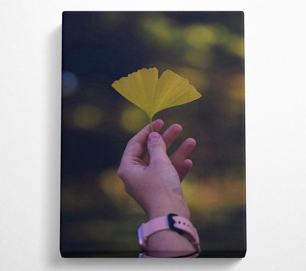 Golden Leaf In Hand