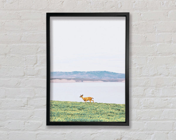 Deer With Lake Landscape