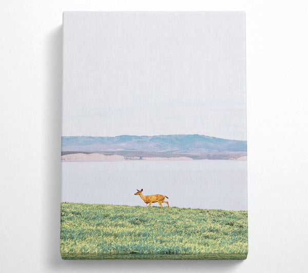 Deer With Lake Landscape