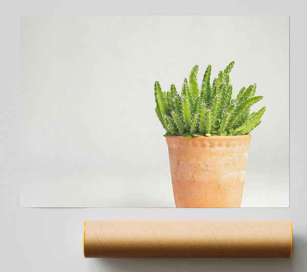 Terracotta Green Cactus