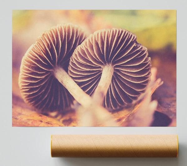 Brown Forest Mushrooms