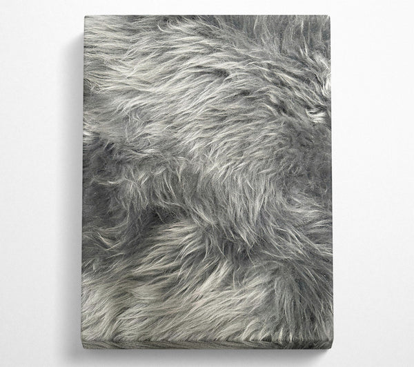 Silver Grey Furry Texture