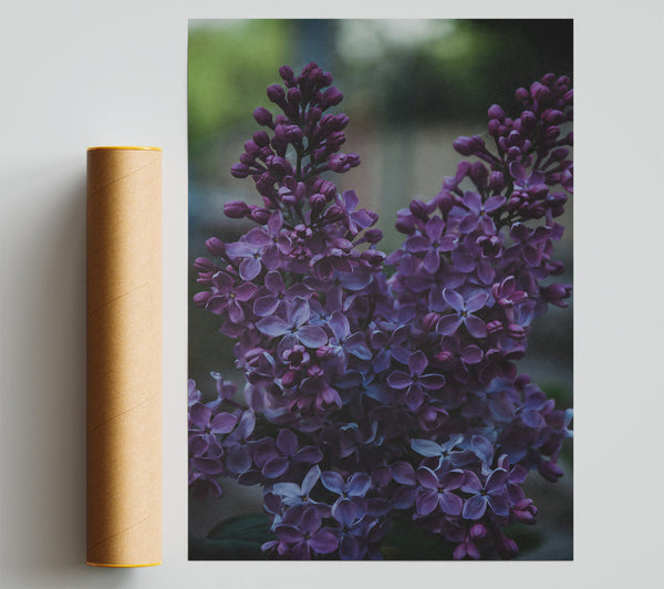 Purple Lilac Bouquet