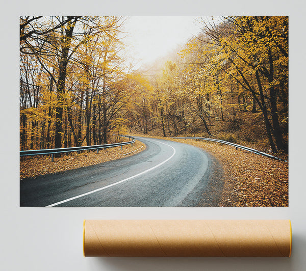 Golden Road Through Trees