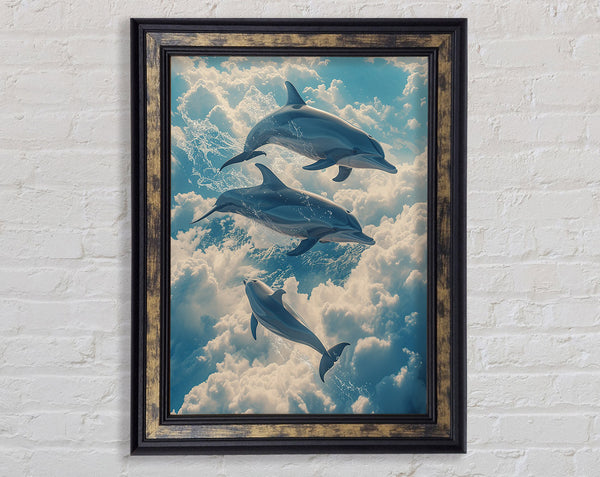 Dolphins In The Sky