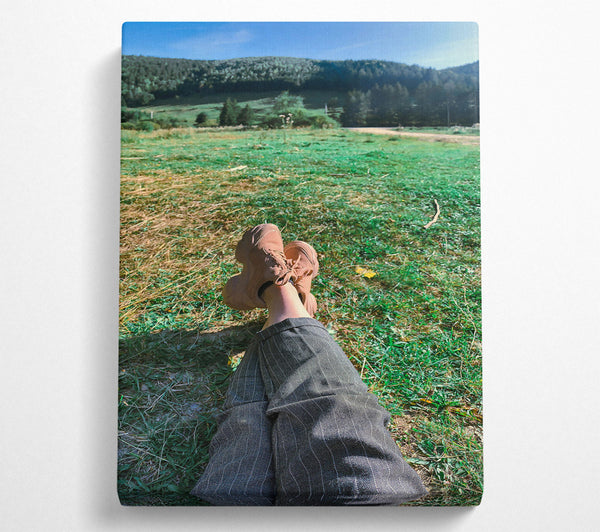 Tan Shoes In Green Grass