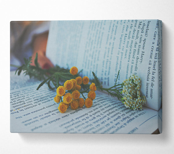 Yellow Blooms On White Pages