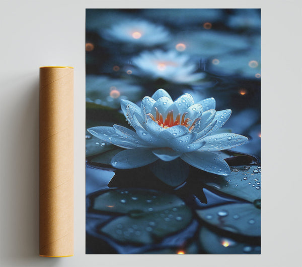 Azure Water Lily Bloom